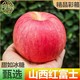猗顿农品 山西红富士苹果冰糖心脆甜净重4.6斤彩箱新鲜水果丑苹果