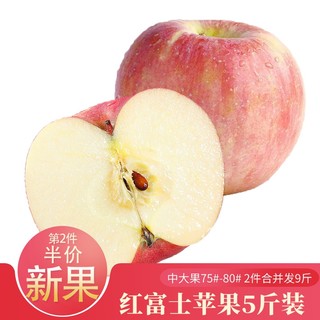 城南堡花 红富士苹果 2.5kg