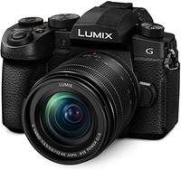 Panasonic 松下 电器 LUMIX G95D 20.3 百万像素无反光镜相机 12-60 毫米 F3.5-5.6 微型 OLED 触摸屏