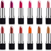 SHANY Cosmetics 口红套装，12种热门色号组合