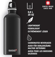 SIGG 希格 旅行野营水壶，铝制