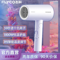 抖音超值购：FLYCO 飞科 电吹风机负离子护发