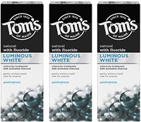 Tom's of Maine 亮白牙膏,含木炭 3 件装,冬青,冬绿色,4 盎司(113克),3 件装