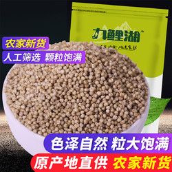 九鲤湖 黑小米500g 农家小米五谷粗粮黑色小米杂粮粮油米