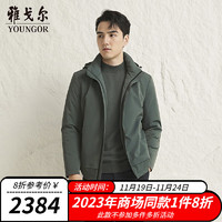 雅戈尔羽绒服男立领可脱帽羽绒服内充绒面无压线简约时尚2023商场同款 墨绿 175/96A