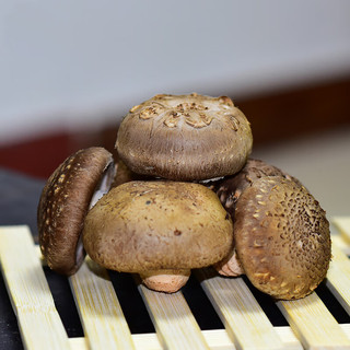 帆儿庄园新鲜湿香菇蘑菇菌菇蔬菜现摘现发 1斤