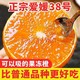 OIMG 四川爱媛38号果冻橙 新鲜果冻橙9斤装