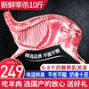 YASEEGO 羊食光 新鲜羊肉 现杀半只10斤乳羔羊