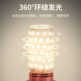 铜之光 led灯泡节能灯 5只装 12W白光