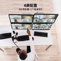 ERGOTRON 爱格升 LX高杆双臂桌面显示器支架45-509-216电脑机械支臂