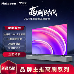 Haisese 海视信智慧屏65英寸电视机超高清智能网络语音投屏防蓝 LED5598*56CM