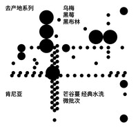 【口粮系列手冲豆】治光师 BEAM TIMER肯尼亚咖啡豆果香精品手冲咖啡豆100g