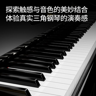 特伦斯高端立式电钢琴88键重锤专业考级数码钢琴初学者儿童家用