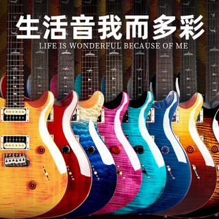 PRS 电吉他SE Custom 24 Standard ST22/ST24印尼产专业级套装CU44