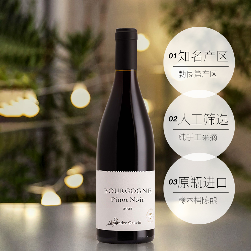 Alexandre Gauvin 法国勃艮第大区黑皮诺亚历山大酒庄原瓶Pinot Noir