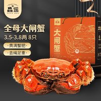 XIAN YAO 鱻谣 大闸蟹鲜活螃蟹 全母3.5-3.8两 8只装 去绳足重 生鲜蟹类礼品礼盒现货