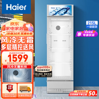 Haier 海尔 SC-228DS 冰柜 215L