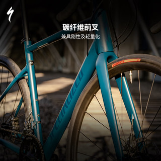 SPECIALIZED闪电 ALLEZ E5 DISC SPORT碳纤维前叉公路自行车 光泽柏油黑 44