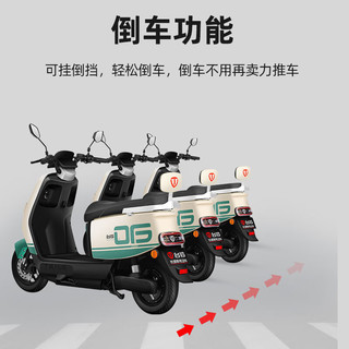 TAILG 台铃 优豪电动摩托车 72V21Ah石墨烯电池