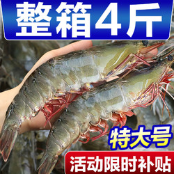 北海湾 青岛大虾18-20厘米带箱4斤新鲜海虾青虾白虾鲜活冷冻大虾