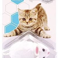HEXBUG 赫宝 宠物系列-猫之宠-白色 猫咪玩具 智能玩具