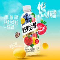 Wild Fruit World 野果世界 沁润·气泡饮 发酵气泡饮料 310ml*15瓶