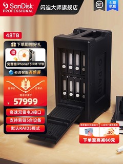 SanDisk professional 闪迪大师 极锐G-RAID移动硬盘144T磁盘阵列雷电3大容量G-technology