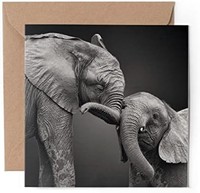 1 x 贺卡可爱母婴大象 - 空白生日庆祝周年纪念 #15651