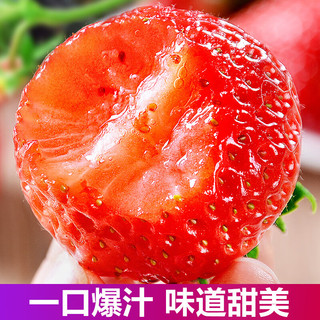 知鲜湾草莓丹东99红颜奶油草莓牛奶大草莓应季新鲜水果 2斤大果单果25g+