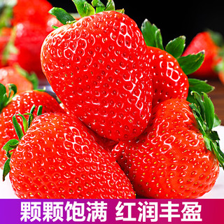 知鲜湾草莓丹东99红颜奶油草莓牛奶大草莓应季新鲜水果 2斤大果单果25g+