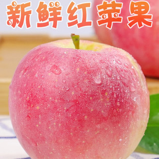 飘香果度 红富士苹果 9斤中果