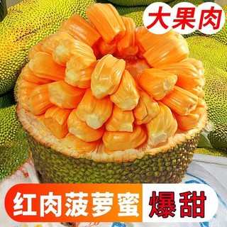 智洲 泰八  红肉菠萝蜜 大果10-12斤