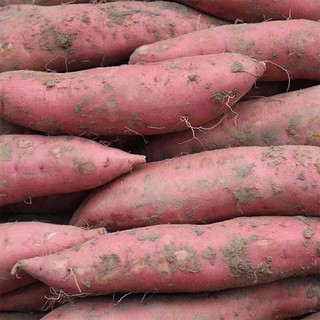 绿农地烟薯25号5.8斤装富硒桥头地瓜红薯紫薯番薯蜜薯糖心流