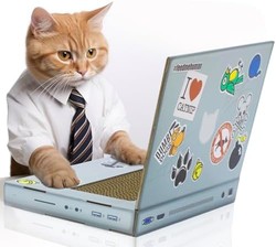 SUCK UK Cat Scratch 笔记本电脑，带有蓬松“鼠标”的猫抓手笔记本电脑，互动猫玩具