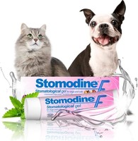 ICF Stomodine F - 猫狗牙膏凝胶-肉类味道-对抗牙菌斑和口臭