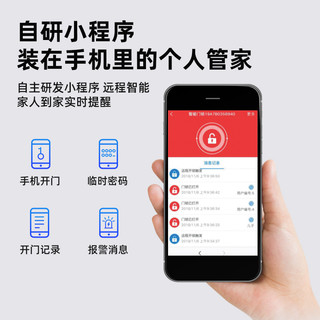 全自动3D人脸识别WIFI智联指纹锁密码锁智能锁电子锁家用防盗锁 人脸款