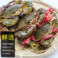 福建 鲜活青蟹公蟹母蟹 天然鲜活大青蟹 鲜活 大青蟹公母搭配 3斤 3-4只