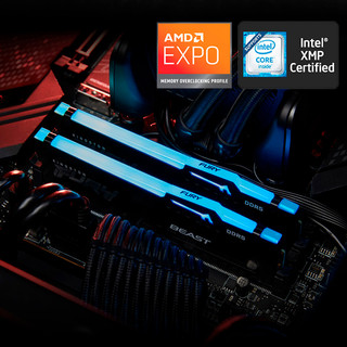 金士顿AMD EXPO超频DDR5 5200/6000 8G/16G台式机内存电竞RGB灯条