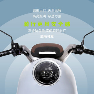 LUYUAN 绿源 MOE超强续航60V22.3Ah电动摩托车 80km续航