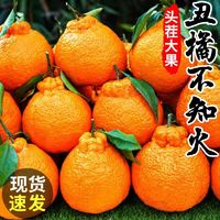 万等新鲜丑八怪橘子水果当季丑柑不知火耙耙柑丑桔子柑橘 丑橘 不知火 9斤 单果75-85mm