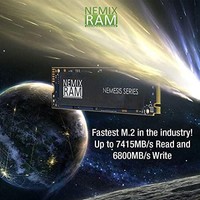 NEMIX RAM Nemesis 系列 4TB M.2 2280 NVMe SSD