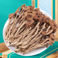 茶树菇500g