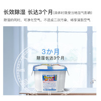 日本白元除湿盒吸湿剂干燥剂室内衣柜防潮防霉除湿袋630ml