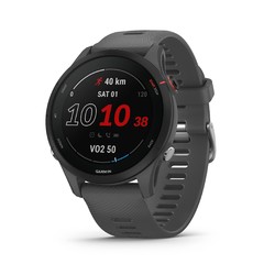 GARMIN 佳明 Forerunner 255 运动手表 46mm 石板灰