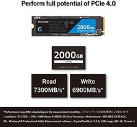Nextorage 日本 2TB NVMe PCIe Gen.4 M.2 内置固态硬盘(读取速度高达 7300MB/s 写入速度高达 6900 MB/s)