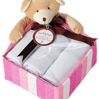 Baby Aspen “蜂蜜熊”甜蜜婴儿女孩礼品套装