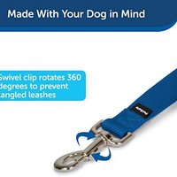 PetSafe 贝适安 尼龙狗牵引绳 耐用的传统风格牵引绳 带易于使用的螺栓按扣 1 英寸 x 6 英尺 宝蓝色