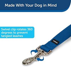 PetSafe 贝适安 尼龙狗牵引绳 耐用的传统风格牵引绳 带易于使用的螺栓按扣 1 英寸 x 6 英尺 宝蓝色