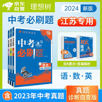 2024中考必刷题 语数英3科 江苏版 初中必刷题八九年级同步练习册 理想树 可搭中考解题有法词汇闪过四轮复习包君成初中阅读百日破纸上的作文直播课初中教材全解中考真题试卷满分作文素材