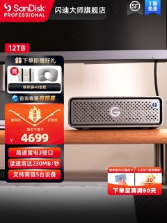 SanDisk professional 闪迪大师 极客移动硬盘12TB高速传输大容量企业级桌面存储器12tPRO